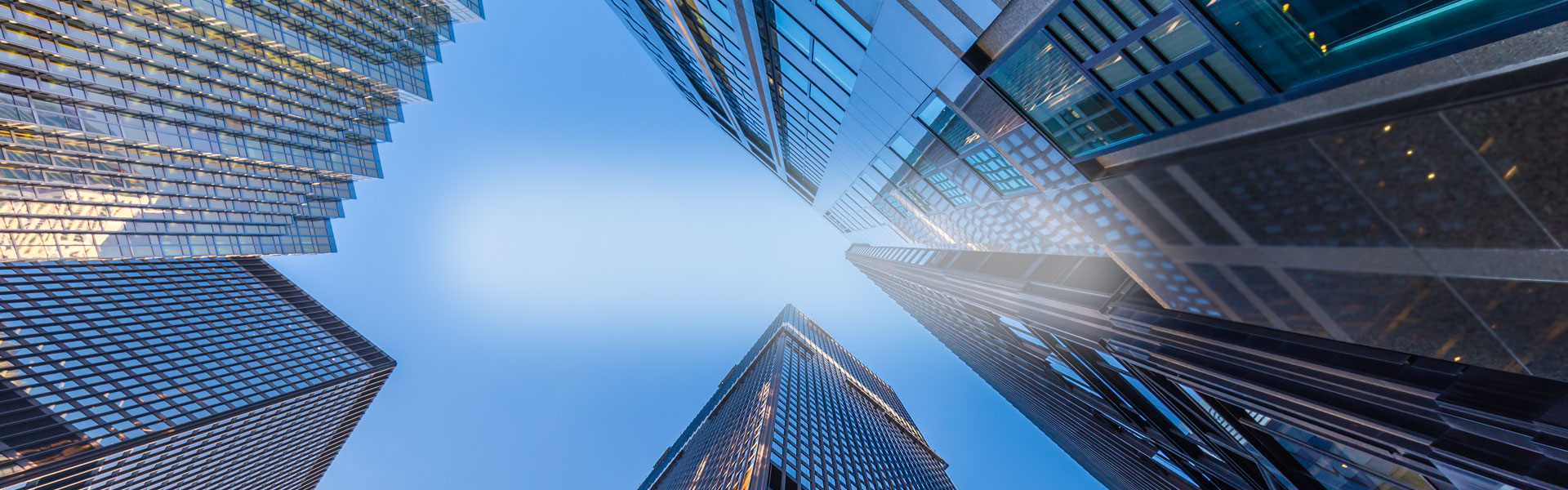 Appointment of New Chief Executive Officer for Real Estate Agency Industry Body, 13 June 2024